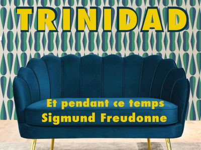 Et pendant ce temps Sigmund Freudonne - le livre